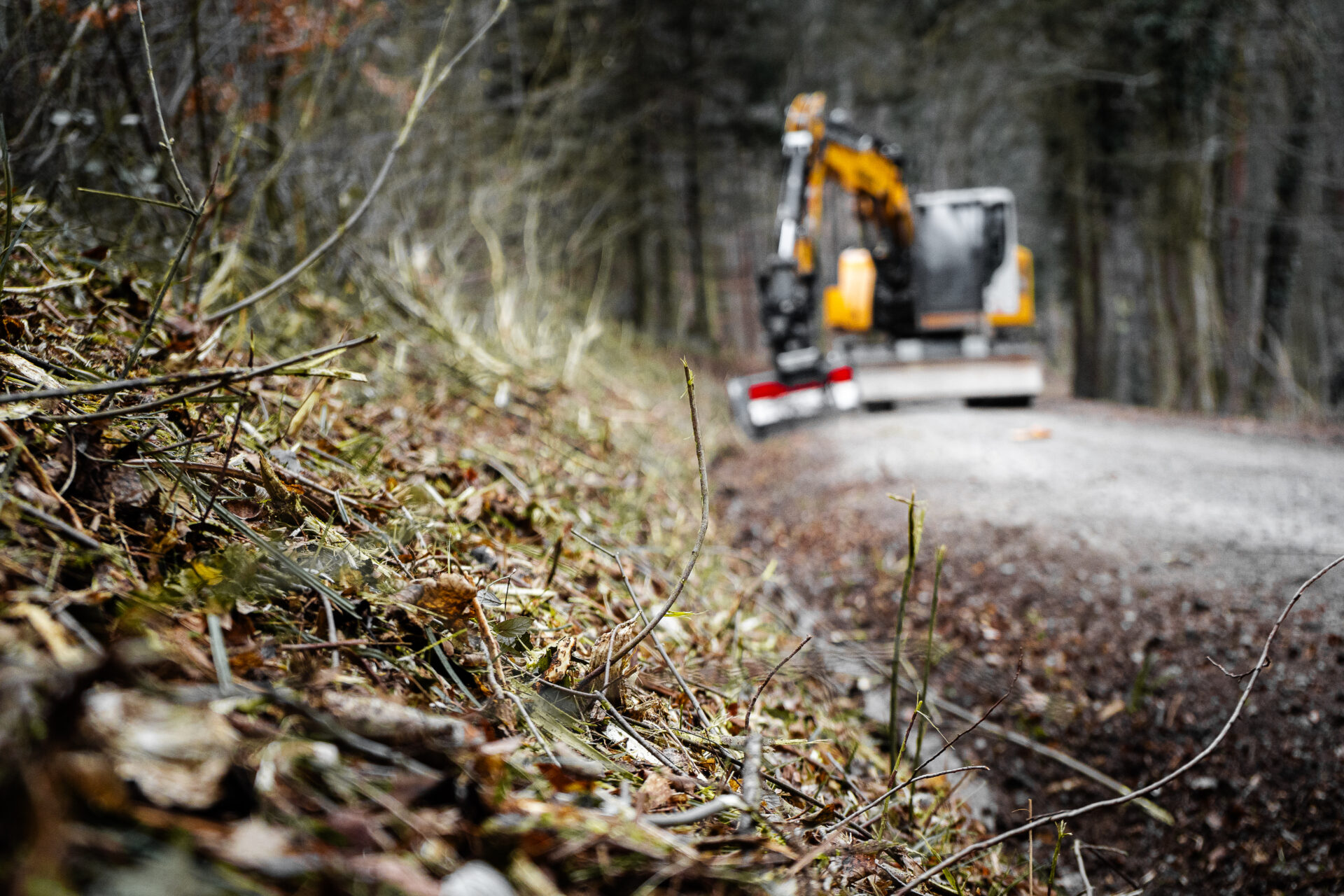 Frisch gefräste Böschung am Forstweg mit Bagger im Hintergrund – saubere Fläche als Vorbereitung für nachhaltige Nachpflege