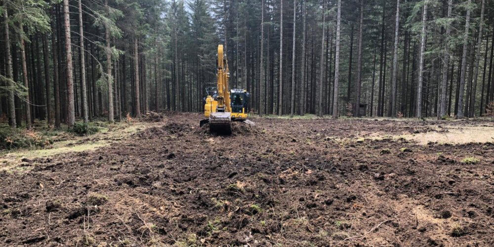 Erdbau-Bayer-Rekultivierung-05