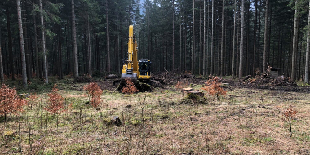 Erdbau-Bayer-Rekultivierung-14